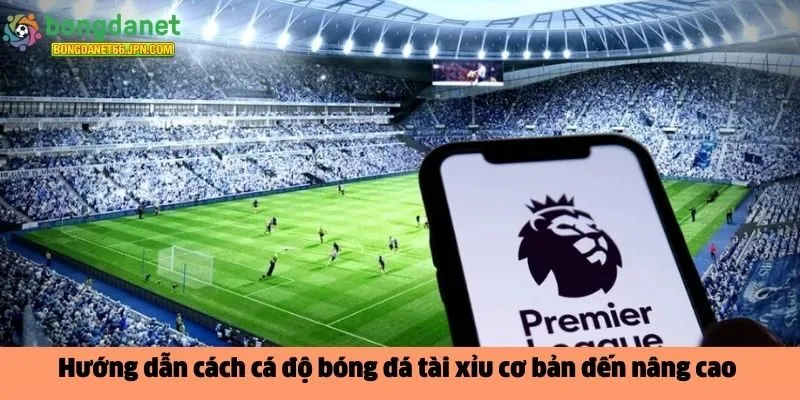 Cách cá độ bóng đá tài xỉu